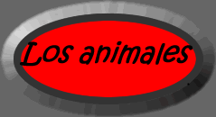 Describe your animals