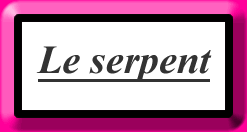 Find the hidden sentence!